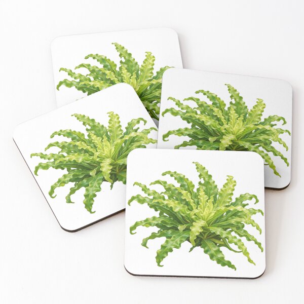 Item preview, Pogostemon Helferi Curled Leaf Botanical Portrait designed and sold by Ocelot-T.