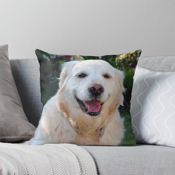 Item preview, Golden Retriever Dog Canine Pet Portrait designed and sold by AndyEvansPhotos.