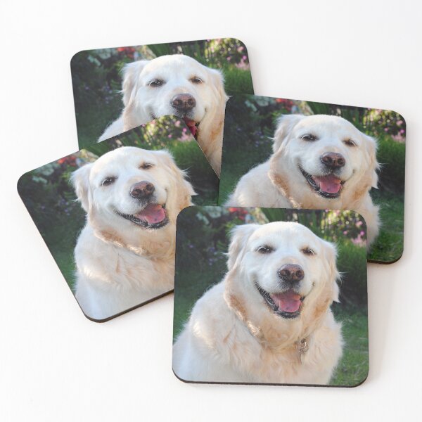 Item preview, Golden Retriever Dog Canine Pet Portrait designed and sold by AndyEvansPhotos.