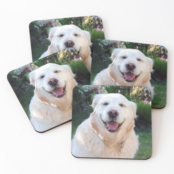 Item preview, Golden Retriever Dog Canine Pet Portrait designed and sold by AndyEvansPhotos.