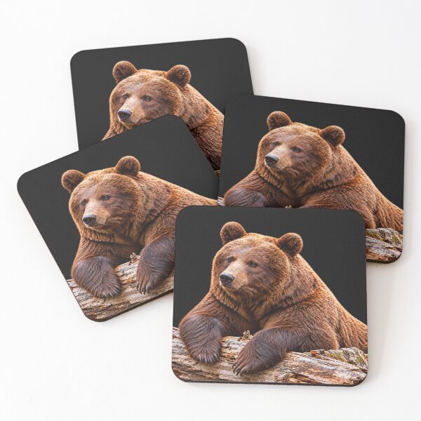 Item preview, Brown Bear Resting on a Fallen Log designed and sold by Medve Photography & Design.
