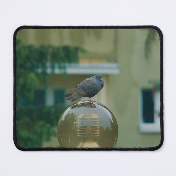 Item preview, Pigeon perched on a round lamp post in the rain designed and sold by Shemski.