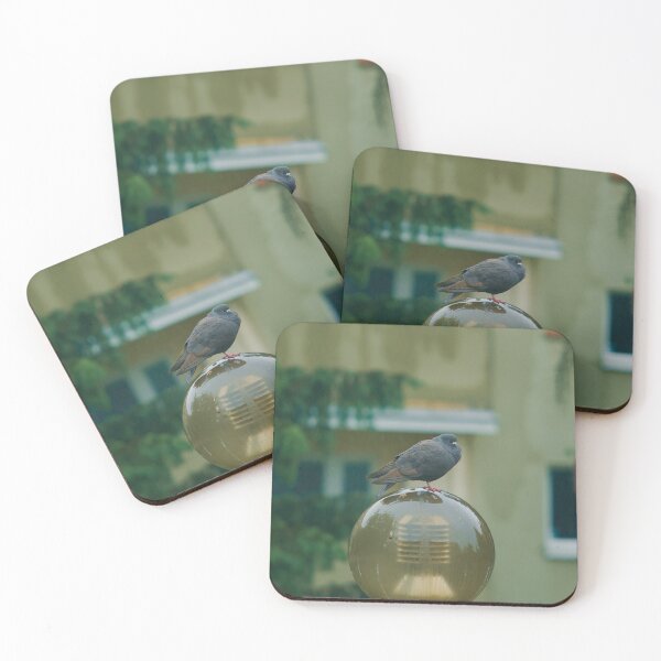 Item preview, Pigeon perched on a round lamp post in the rain designed and sold by Shemski.