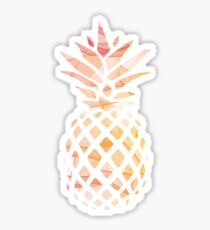Cute watercolor pinaapple Sticker