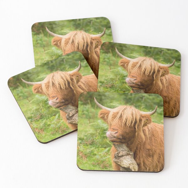 Item preview, Funny Highland Cow designed and sold by Jane Stanley Photography.