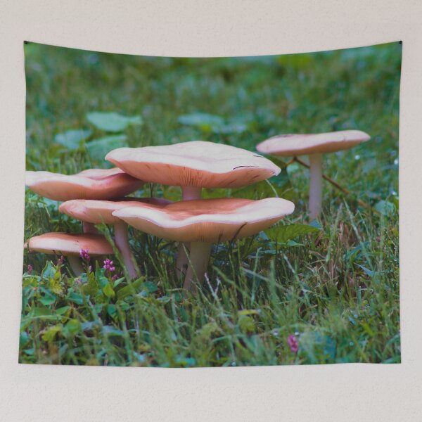 Item preview, mushroom city reference  designed and sold by derekrich.