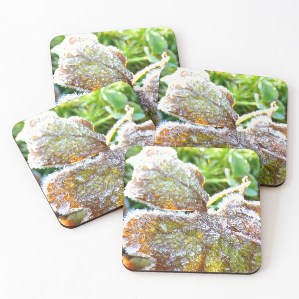 Item preview, Fall Frost designed and sold by Nicole13x.