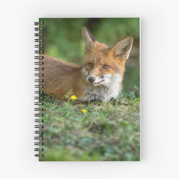 Item preview,  A Fox in the Dappled Light of Mold - North Wales  designed and sold by Darren Wilkes Wildlife UK.