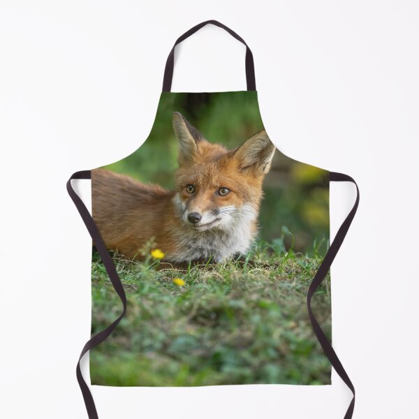 Item preview, Un zorro bajo la luz tamizada de Mold - Norte de Gales designed and sold by Darren Wilkes Wildlife UK.