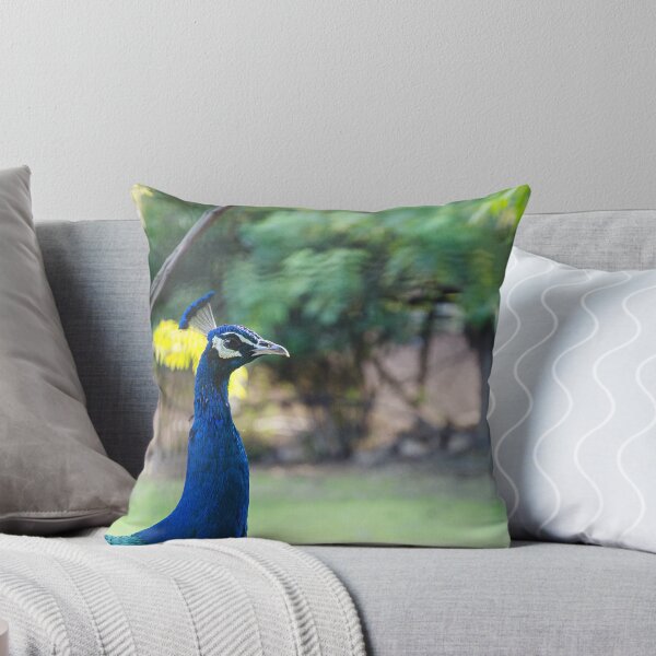 Item preview, Vibrant Blue Peacock Portrait - Elegant Wildlife Photography designed and sold by BeyaDh.