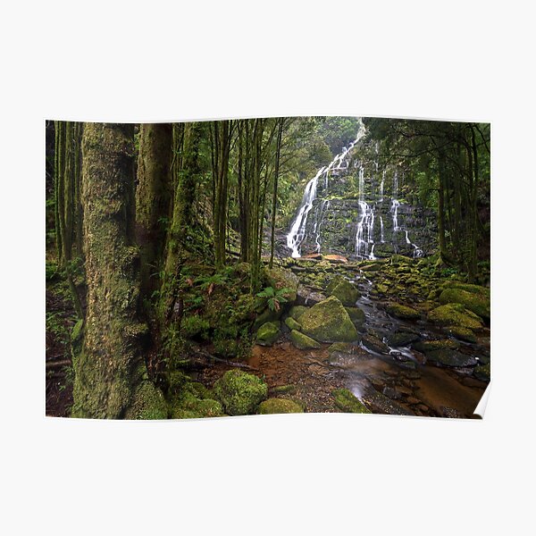 Tasmanian Wilderness Poster