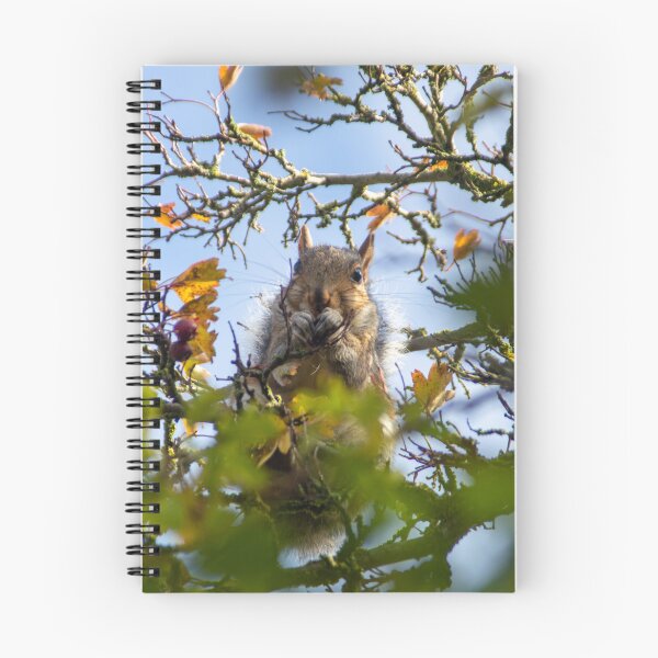 Item preview, A squirrel in the autumn leaves designed and sold by Memories by Jess.