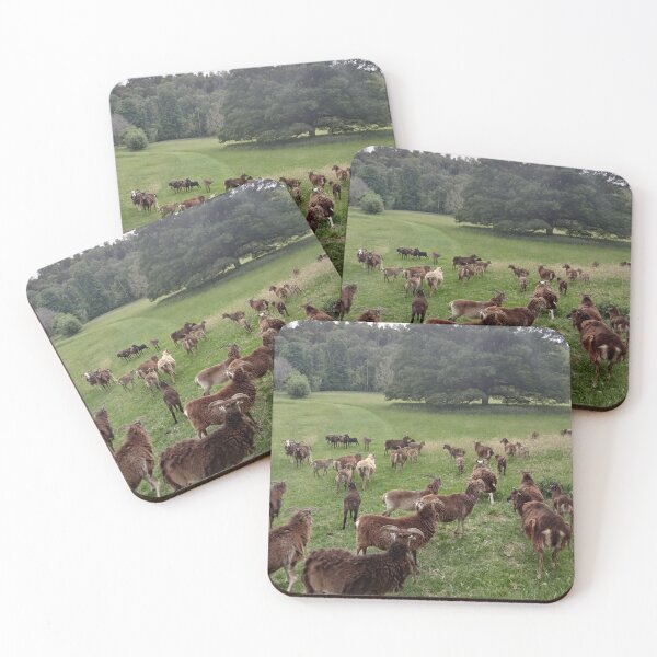 Item preview, Soay Sheep, Sheep as they were in the Bronze Age designed and sold by Oppos  Veterans Farm.