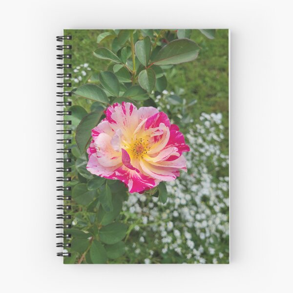 Item preview, Pink Daze designed and sold by Lunar Bound Imagery .
