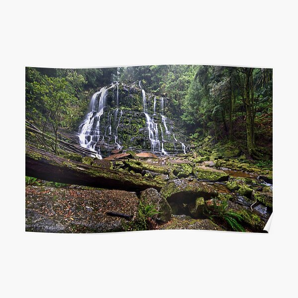 Nelson Falls - Tasmania Poster