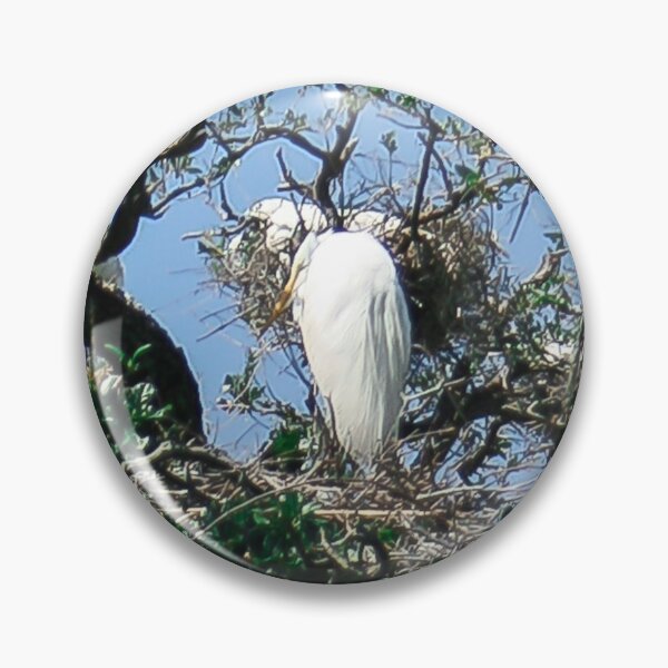 Item preview, Egrets Breeding Season designed and sold by heatherfriedman.