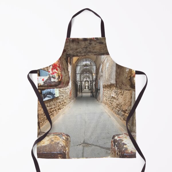 Item preview, Framed View Through Iron Gate into Cellblock Corridor – Eastern State Penitentiary designed and sold by Jason Bylsma.
