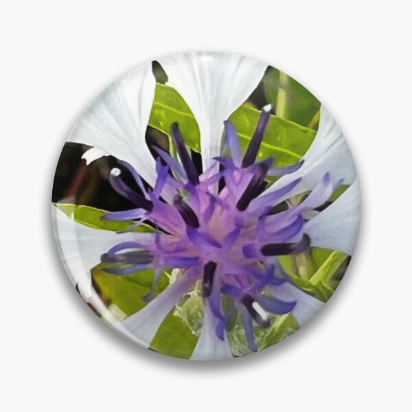 Item preview, White Cornflower with Violet Center — Bachelor's Button Floral Close-Up designed and sold by Pink Ribbon Flowers .