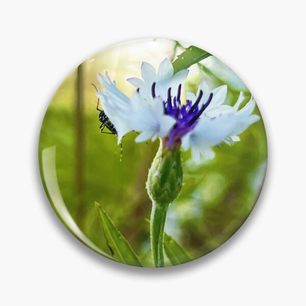 Item preview, Pale Blue Cornflower with a Tiny Garden Visitor — Soft Summer Wildflower designed and sold by Pink Ribbon Flowers .