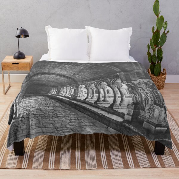 Item preview, 1851 Cloister of the Church of Saint-Trophime located in Arles, France vintage black and white 19th Century photograph by Édouard Baldus designed and sold by Astrid Arkhangelsky.