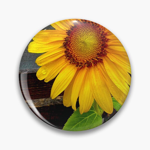 Artikelvorschau, Goldene Sonnenblume mit Regentropfen von Rustic Wood — Fröhliche Sommerblume entworfen und verkauft von Pink Ribbon Flowers .