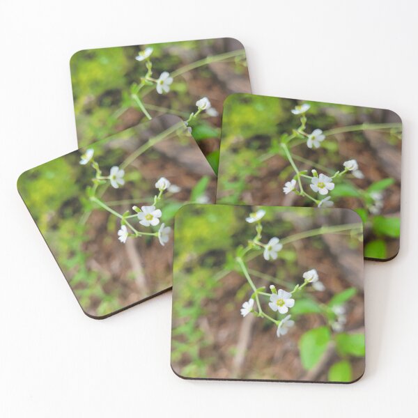 Item preview, Into the woods designed and sold by Lunar Bound Imagery .
