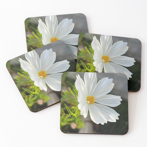 Item preview, Pure White Cosmos with Golden Center — Elegant Flower Close-Up designed and sold by Pink Ribbon Flowers .