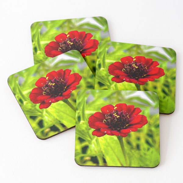 Item preview, Deep Red Zinnia in Full Bloom — Bold Summer Garden Flower Photography designed and sold by Pink Ribbon Flowers .