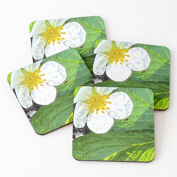 Item preview, White Strawberry Blossom with Morning Dew — Fresh Spring Garden Photography designed and sold by Pink Ribbon Flowers .