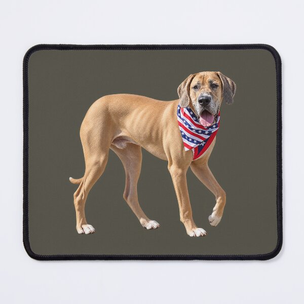 Item preview, Fawn Great Dane With Patriotic Scarf designed and sold by Susan Savad.