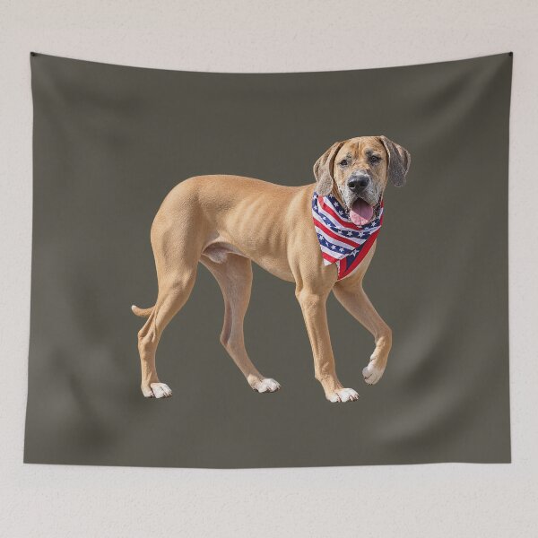 Item preview, Fawn Great Dane With Patriotic Scarf designed and sold by Susan Savad.