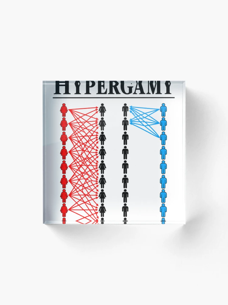 Thumbnail 1 of 5, Acrylic Block, Color Coded Human Network designed and sold by ROUX-ART.