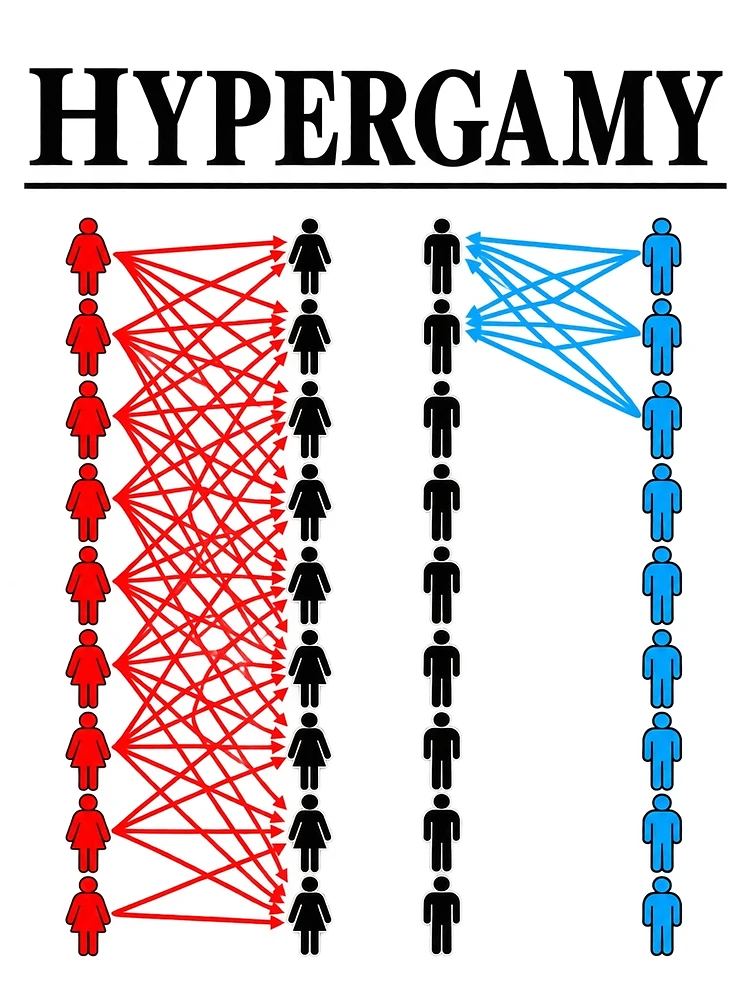 Thumbnail 3 of 3, Scarf, Color Coded Human Network designed and sold by ROUX-ART.