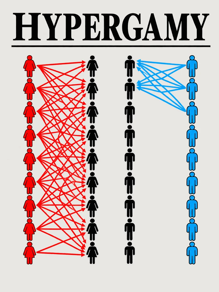 Thumbnail 6 of 6, Premium Oversized Hoodie, Color Coded Human Network designed and sold by ROUX-ART.
