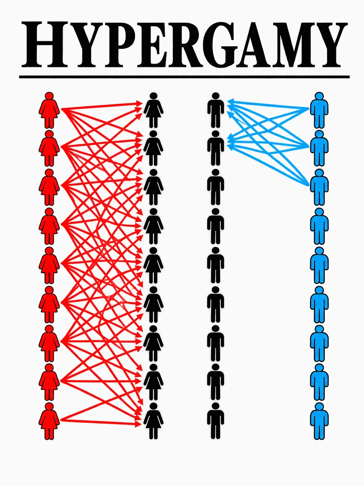 Thumbnail 6 of 6, Pullover Hoodie, Color Coded Human Network designed and sold by ROUX-ART.