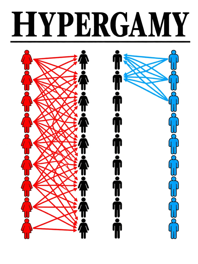 Thumbnail 4 of 4, Boxy T-Shirt, Color Coded Human Network designed and sold by ROUX-ART.