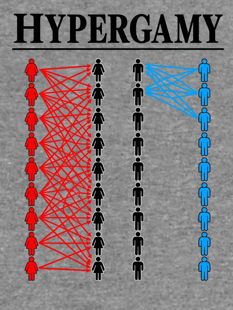 Thumbnail 6 of 6, Lightweight Sweatshirt, Color Coded Human Network designed and sold by ROUX-ART.