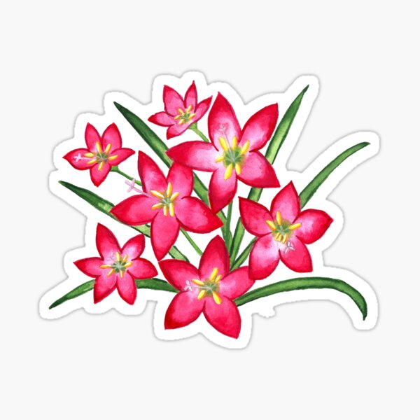 Rain Lilies Sticker