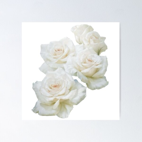 Item preview, Soft Pink Roses designed and sold by Cherry Bunny Crochet.