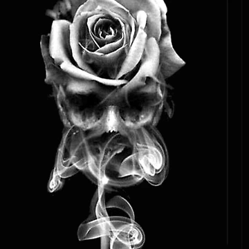 Artwork thumbnail, BLACK ROSE by michaeltodd