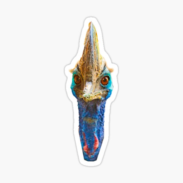 Item preview, Cassowary profile designed and sold by OwlOccasions.