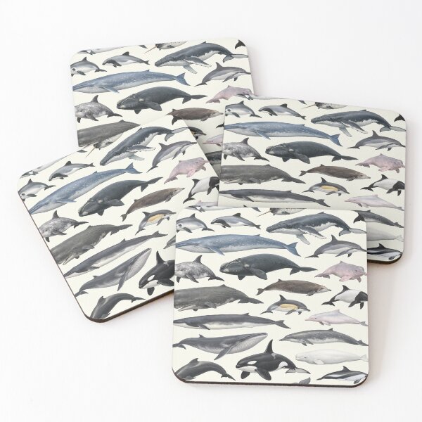 Item preview, Whales, Dolphins, and Porpoises Retro Wildlife Identification Chart designed and sold by kakarikihill.