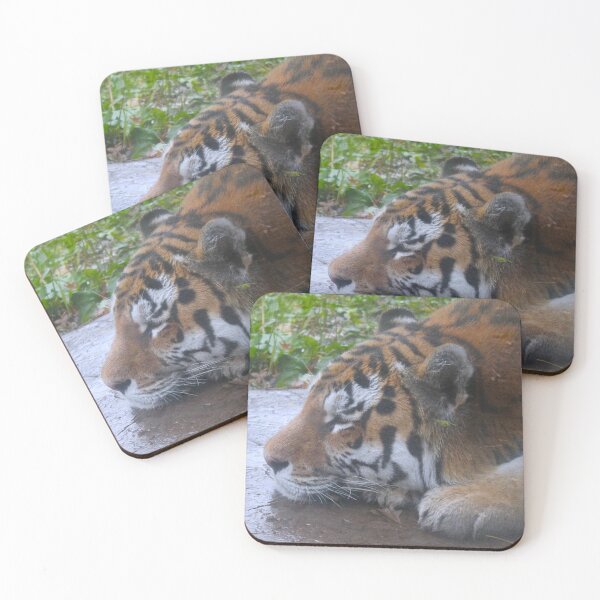 Item preview, Sleepy Tiger designed and sold by Creek Nymph Photography.