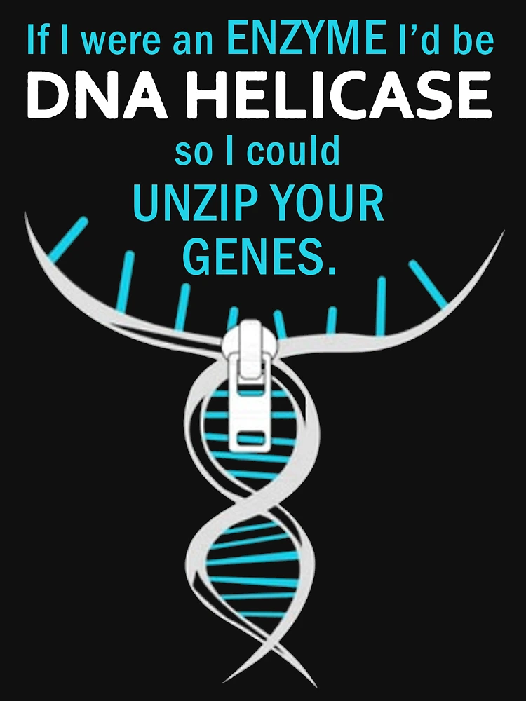 If I Were An Enzyme I'd Be Dna Helicase So I Unzip Your