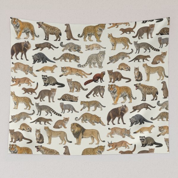 Item preview, Animals of the Suborder Feliformia Wildlife Identification Chart designed and sold by kakarikihill.