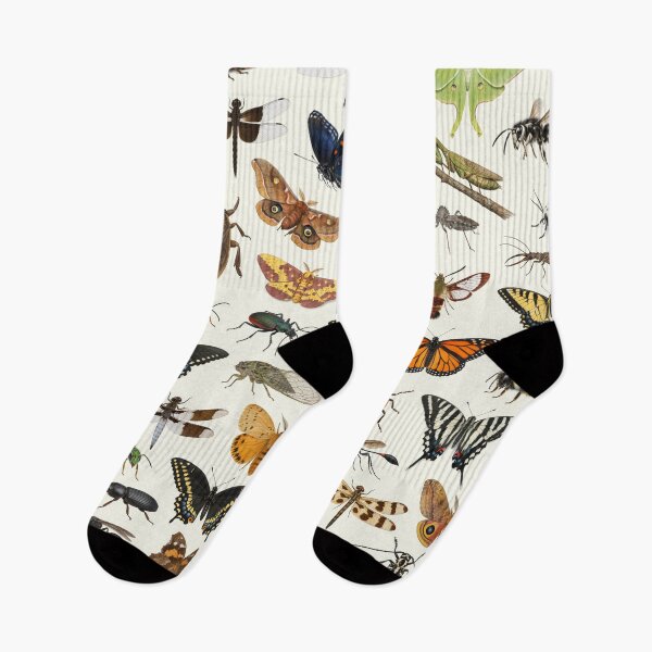 Item preview, Insects of Missouri Retro Wildlife Identification Chart designed and sold by kakarikihill.