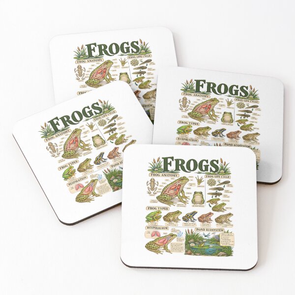 Item preview, Frogs Anatomy Life Cycle designed and sold by fairmont-press.