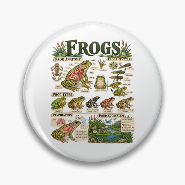 Item preview, Frogs Anatomy Life Cycle designed and sold by fairmont-press.