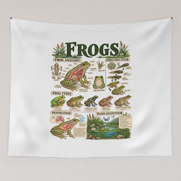 Item preview, Frogs Anatomy Life Cycle designed and sold by fairmont-press.
