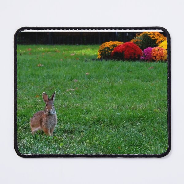 Item preview, Spring Bunny designed and sold by EilisMcKenna.